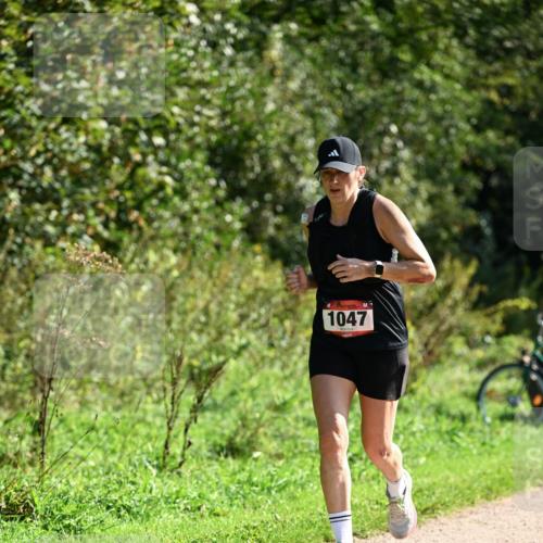 27.09.2026 - 35. Volkslauf durch das schöne Alstertal Dr. Thomas Lammeyer http://msf.ph/oto/10579028 27.09.2026 12:05:36 Laufen 1047 meine-sportfotos.de