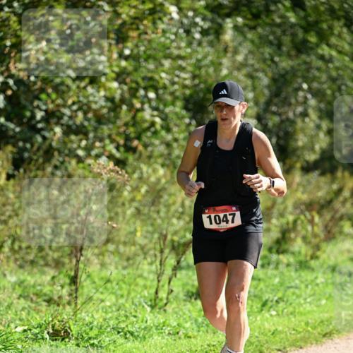 27.09.2026 - 35. Volkslauf durch das schöne Alstertal Dr. Thomas Lammeyer http://msf.ph/oto/10579032 27.09.2026 12:05:36 Laufen 1047 meine-sportfotos.de