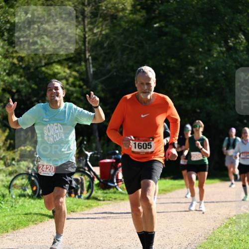 27.09.2026 - 35. Volkslauf durch das schöne Alstertal Dr. Thomas Lammeyer http://msf.ph/oto/10579067 27.09.2026 12:05:52 Laufen 2420, 1605 meine-sportfotos.de
