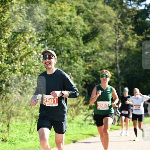 27.09.2026 - 35. Volkslauf durch das schöne Alstertal Dr. Thomas Lammeyer http://msf.ph/oto/10579080 27.09.2026 12:05:56 Laufen 2501, 2500, 1124 meine-sportfotos.de