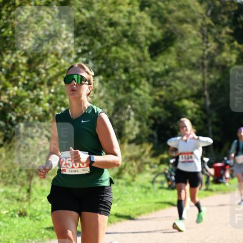 27.09.2026 - 35. Volkslauf durch das schöne Alstertal Dr. Thomas Lammeyer http://msf.ph/oto/10579090 27.09.2026 12:05:57 Laufen 250 meine-sportfotos.de