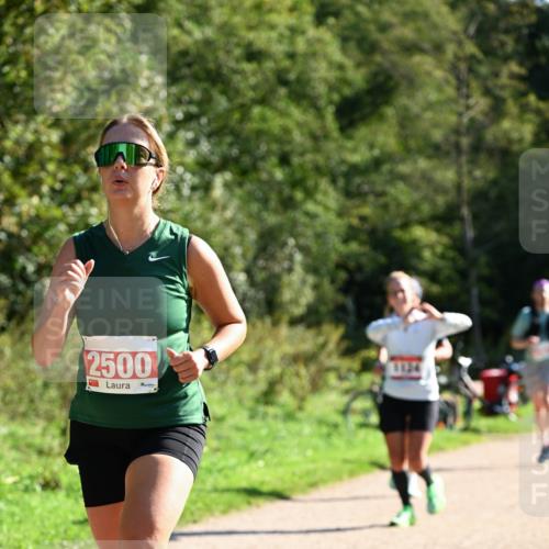 27.09.2026 - 35. Volkslauf durch das schöne Alstertal Dr. Thomas Lammeyer http://msf.ph/oto/10579092 27.09.2026 12:05:57 Laufen 2500 meine-sportfotos.de