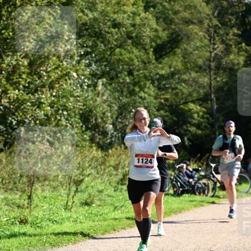 27.09.2026 - 35. Volkslauf durch das schöne Alstertal Dr. Thomas Lammeyer http://msf.ph/oto/10579096 27.09.2026 12:05:58 Laufen 1124 meine-sportfotos.de