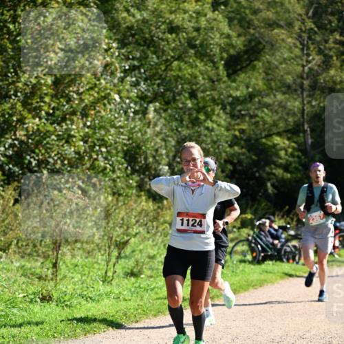 27.09.2026 - 35. Volkslauf durch das schöne Alstertal Dr. Thomas Lammeyer http://msf.ph/oto/10579098 27.09.2026 12:05:58 Laufen 1124 meine-sportfotos.de