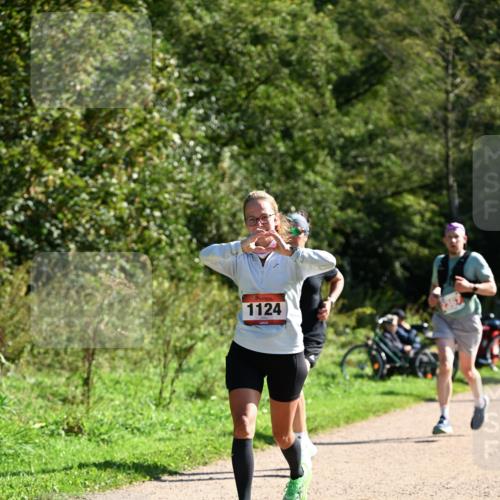 27.09.2026 - 35. Volkslauf durch das schöne Alstertal Dr. Thomas Lammeyer http://msf.ph/oto/10579100 27.09.2026 12:05:58 Laufen 1124 meine-sportfotos.de