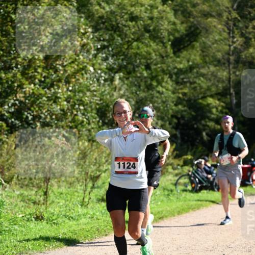 27.09.2026 - 35. Volkslauf durch das schöne Alstertal Dr. Thomas Lammeyer http://msf.ph/oto/10579101 27.09.2026 12:05:58 Laufen 1124 meine-sportfotos.de