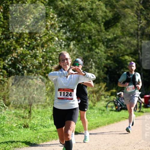 27.09.2026 - 35. Volkslauf durch das schöne Alstertal Dr. Thomas Lammeyer http://msf.ph/oto/10579103 27.09.2026 12:05:59 Laufen 1124 meine-sportfotos.de