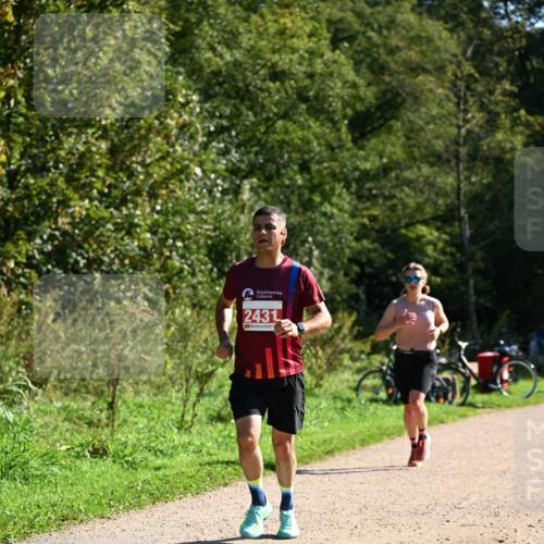 27.09.2026 - 35. Volkslauf durch das schöne Alstertal Dr. Thomas Lammeyer http://msf.ph/oto/10579121 27.09.2026 12:06:02 Laufen 2431 meine-sportfotos.de
