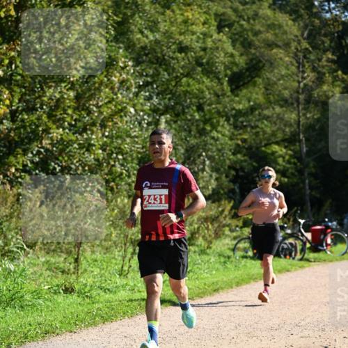 27.09.2026 - 35. Volkslauf durch das schöne Alstertal Dr. Thomas Lammeyer http://msf.ph/oto/10579122 27.09.2026 12:06:02 Laufen 2431 meine-sportfotos.de