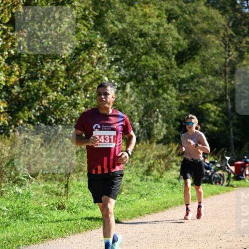 27.09.2026 - 35. Volkslauf durch das schöne Alstertal Dr. Thomas Lammeyer http://msf.ph/oto/10579125 27.09.2026 12:06:03 Laufen 431 meine-sportfotos.de