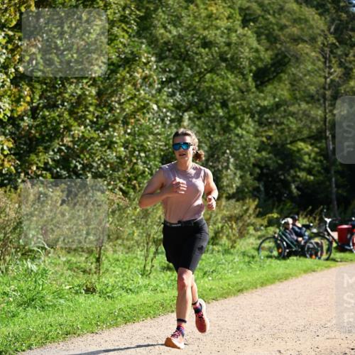 27.09.2026 - 35. Volkslauf durch das schöne Alstertal Dr. Thomas Lammeyer http://msf.ph/oto/10579130 27.09.2026 12:06:04 Laufen  meine-sportfotos.de