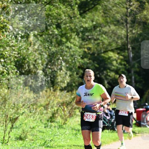 27.09.2026 - 35. Volkslauf durch das schöne Alstertal Dr. Thomas Lammeyer http://msf.ph/oto/10579191 27.09.2026 12:06:40 Laufen 2463 meine-sportfotos.de
