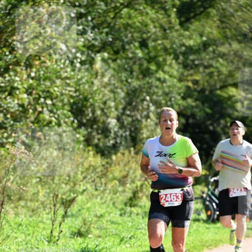 27.09.2026 - 35. Volkslauf durch das schöne Alstertal Dr. Thomas Lammeyer http://msf.ph/oto/10579195 27.09.2026 12:06:40 Laufen 2463 meine-sportfotos.de