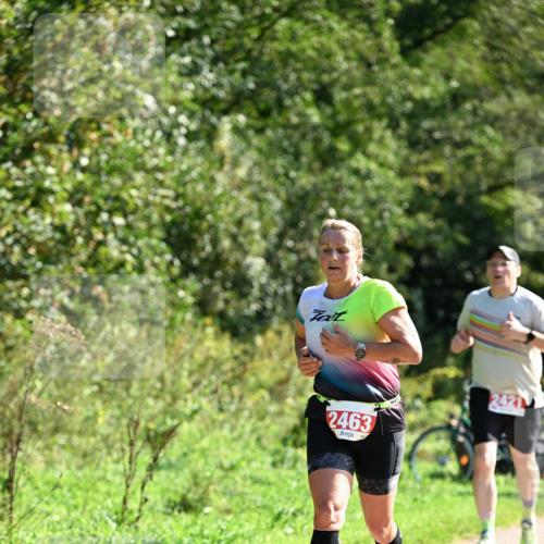 27.09.2026 - 35. Volkslauf durch das schöne Alstertal Dr. Thomas Lammeyer http://msf.ph/oto/10579196 27.09.2026 12:06:41 Laufen 2463 meine-sportfotos.de