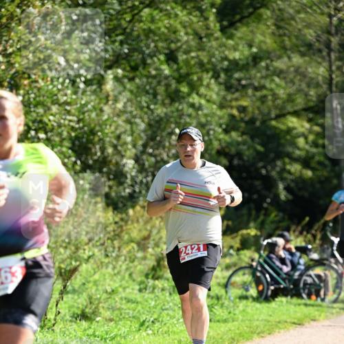 27.09.2026 - 35. Volkslauf durch das schöne Alstertal Dr. Thomas Lammeyer http://msf.ph/oto/10579202 27.09.2026 12:06:42 Laufen 2421 meine-sportfotos.de