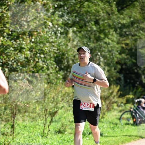 27.09.2026 - 35. Volkslauf durch das schöne Alstertal Dr. Thomas Lammeyer http://msf.ph/oto/10579205 27.09.2026 12:06:42 Laufen 2421 meine-sportfotos.de