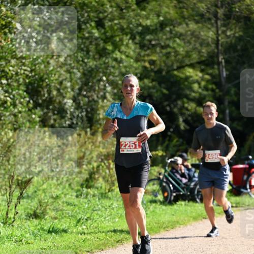27.09.2026 - 35. Volkslauf durch das schöne Alstertal Dr. Thomas Lammeyer http://msf.ph/oto/10579208 27.09.2026 12:06:44 Laufen 2251, 2490 meine-sportfotos.de