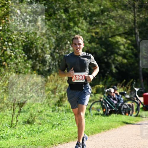 27.09.2026 - 35. Volkslauf durch das schöne Alstertal Dr. Thomas Lammeyer http://msf.ph/oto/10579219 27.09.2026 12:06:46 Laufen 2490 meine-sportfotos.de