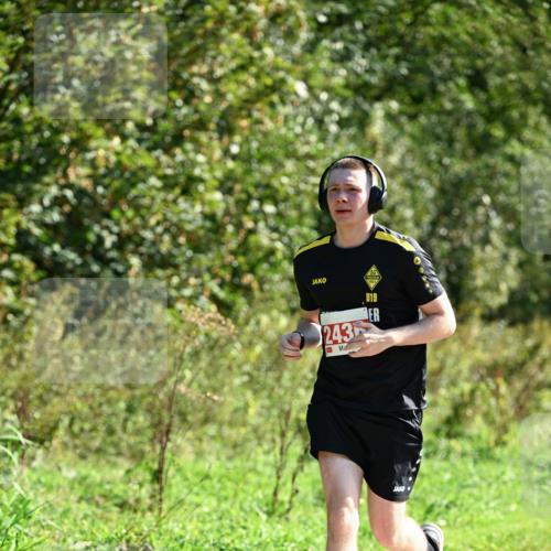 27.09.2026 - 35. Volkslauf durch das schöne Alstertal Dr. Thomas Lammeyer http://msf.ph/oto/10579262 27.09.2026 12:07:01 Laufen 243, 19 meine-sportfotos.de