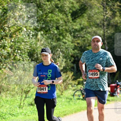 27.09.2026 - 35. Volkslauf durch das schöne Alstertal Dr. Thomas Lammeyer http://msf.ph/oto/10579283 27.09.2026 12:07:18 Laufen 1041, 1495 meine-sportfotos.de