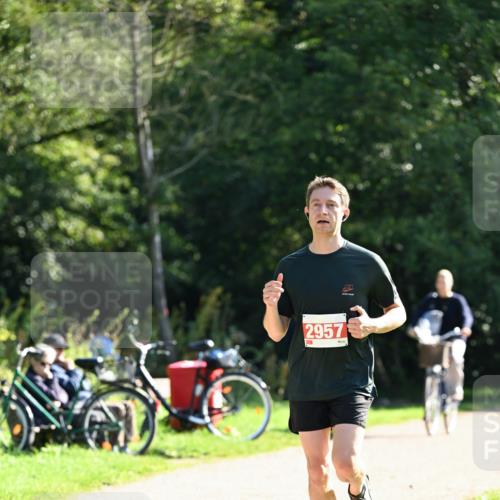 27.09.2026 - 35. Volkslauf durch das schöne Alstertal Dr. Thomas Lammeyer http://msf.ph/oto/10579302 27.09.2026 12:07:29 Laufen 2957 meine-sportfotos.de