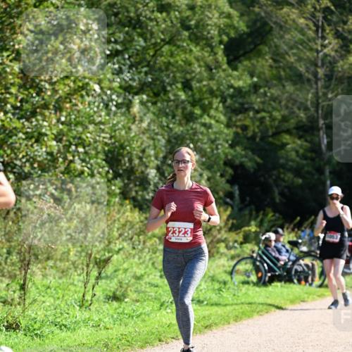 27.09.2026 - 35. Volkslauf durch das schöne Alstertal Dr. Thomas Lammeyer http://msf.ph/oto/10579327 27.09.2026 12:08:17 Laufen 2323, 1053 meine-sportfotos.de