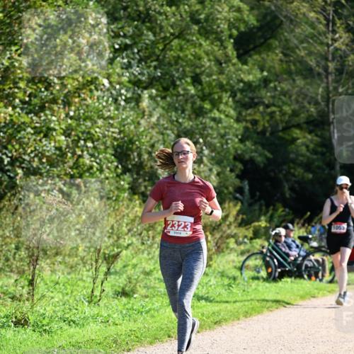 27.09.2026 - 35. Volkslauf durch das schöne Alstertal Dr. Thomas Lammeyer http://msf.ph/oto/10579328 27.09.2026 12:08:17 Laufen 2323, 1053 meine-sportfotos.de