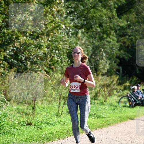 27.09.2026 - 35. Volkslauf durch das schöne Alstertal Dr. Thomas Lammeyer http://msf.ph/oto/10579332 27.09.2026 12:08:18 Laufen 2323 meine-sportfotos.de