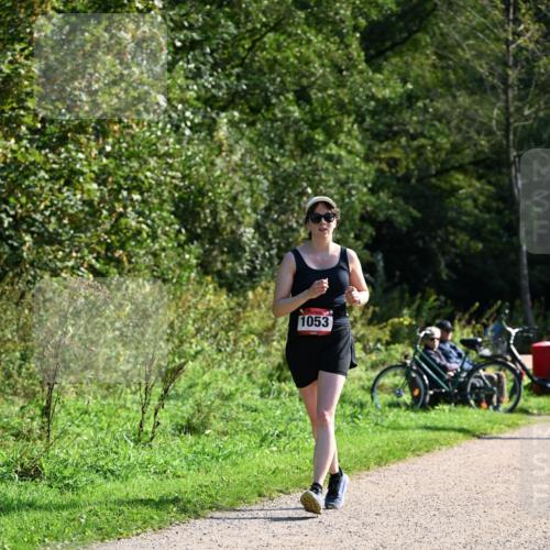 27.09.2026 - 35. Volkslauf durch das schöne Alstertal Dr. Thomas Lammeyer http://msf.ph/oto/10579337 27.09.2026 12:08:20 Laufen 1053 meine-sportfotos.de