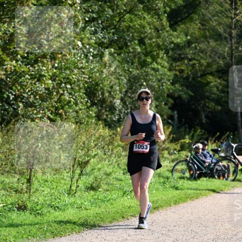 27.09.2026 - 35. Volkslauf durch das schöne Alstertal Dr. Thomas Lammeyer http://msf.ph/oto/10579338 27.09.2026 12:08:21 Laufen 1053 meine-sportfotos.de