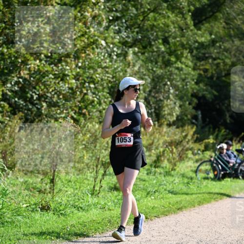 27.09.2026 - 35. Volkslauf durch das schöne Alstertal Dr. Thomas Lammeyer http://msf.ph/oto/10579346 27.09.2026 12:08:21 Laufen 1053 meine-sportfotos.de