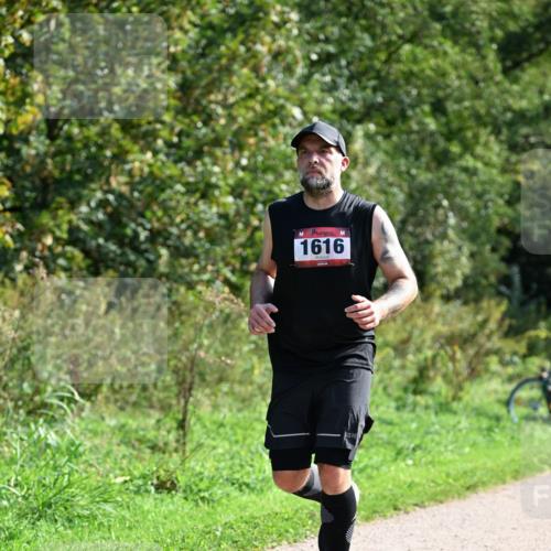 27.09.2026 - 35. Volkslauf durch das schöne Alstertal Dr. Thomas Lammeyer http://msf.ph/oto/10579358 27.09.2026 12:08:25 Laufen 1616 meine-sportfotos.de