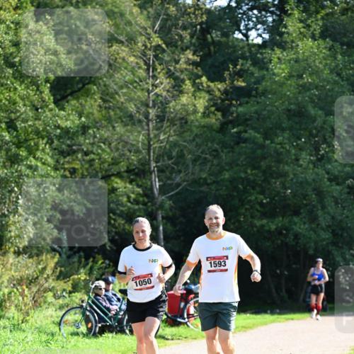 27.09.2026 - 35. Volkslauf durch das schöne Alstertal Dr. Thomas Lammeyer http://msf.ph/oto/10579366 27.09.2026 12:08:35 Laufen 1050, 1593 meine-sportfotos.de