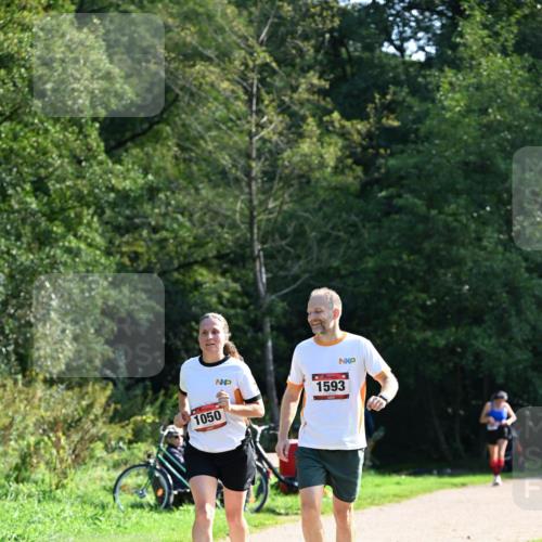 27.09.2026 - 35. Volkslauf durch das schöne Alstertal Dr. Thomas Lammeyer http://msf.ph/oto/10579370 27.09.2026 12:08:35 Laufen 1593, 1050 meine-sportfotos.de