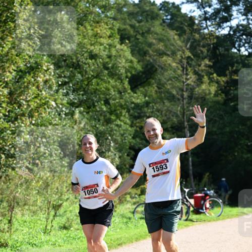 27.09.2026 - 35. Volkslauf durch das schöne Alstertal Dr. Thomas Lammeyer http://msf.ph/oto/10579386 27.09.2026 12:08:37 Laufen 1050, 1593 meine-sportfotos.de