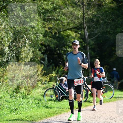 27.09.2026 - 35. Volkslauf durch das schöne Alstertal Dr. Thomas Lammeyer http://msf.ph/oto/10579409 27.09.2026 12:08:52 Laufen 2319, 2355 meine-sportfotos.de