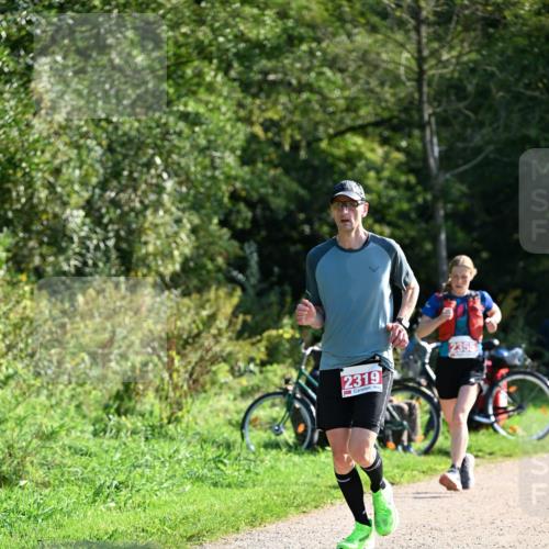 27.09.2026 - 35. Volkslauf durch das schöne Alstertal Dr. Thomas Lammeyer http://msf.ph/oto/10579412 27.09.2026 12:08:52 Laufen 2319, 2355 meine-sportfotos.de