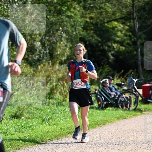 27.09.2026 - 35. Volkslauf durch das schöne Alstertal Dr. Thomas Lammeyer http://msf.ph/oto/10579426 27.09.2026 12:08:55 Laufen 2355 meine-sportfotos.de
