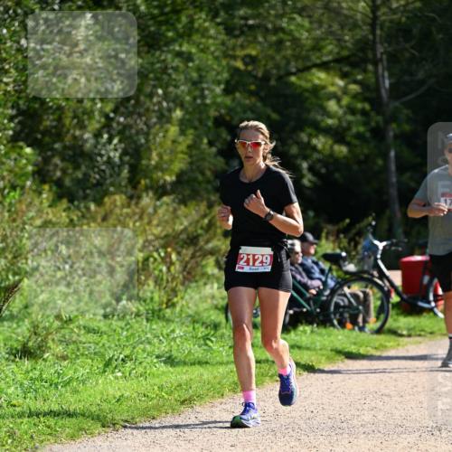 27.09.2026 - 35. Volkslauf durch das schöne Alstertal Dr. Thomas Lammeyer http://msf.ph/oto/10579442 27.09.2026 12:08:59 Laufen 2129 meine-sportfotos.de