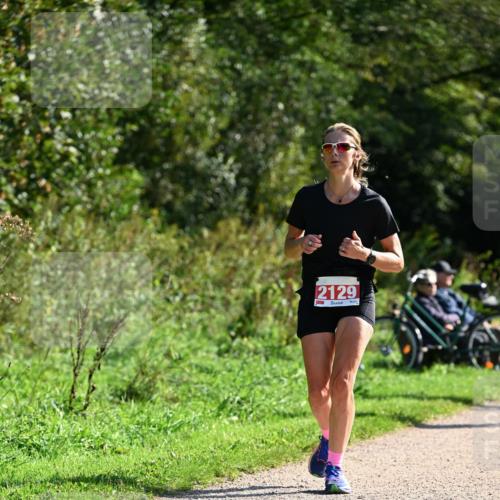 27.09.2026 - 35. Volkslauf durch das schöne Alstertal Dr. Thomas Lammeyer http://msf.ph/oto/10579447 27.09.2026 12:08:59 Laufen 2129 meine-sportfotos.de