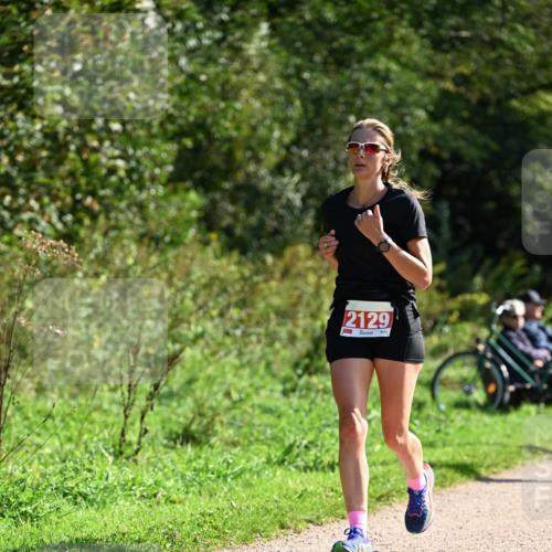 27.09.2026 - 35. Volkslauf durch das schöne Alstertal Dr. Thomas Lammeyer http://msf.ph/oto/10579450 27.09.2026 12:08:59 Laufen 2129 meine-sportfotos.de