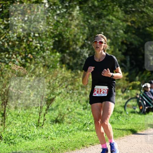 27.09.2026 - 35. Volkslauf durch das schöne Alstertal Dr. Thomas Lammeyer http://msf.ph/oto/10579452 27.09.2026 12:08:59 Laufen 2129 meine-sportfotos.de