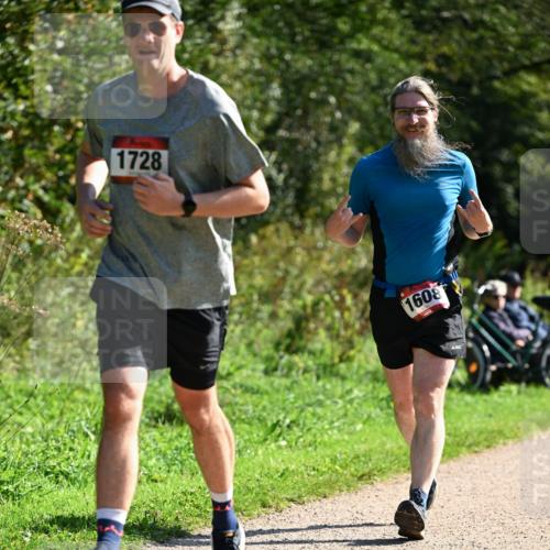 27.09.2026 - 35. Volkslauf durch das schöne Alstertal Dr. Thomas Lammeyer http://msf.ph/oto/10579464 27.09.2026 12:09:02 Laufen 1728, 1608 meine-sportfotos.de