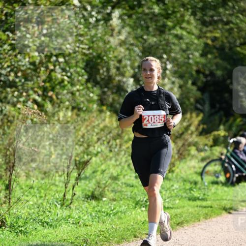 27.09.2026 - 35. Volkslauf durch das schöne Alstertal Dr. Thomas Lammeyer http://msf.ph/oto/10579472 27.09.2026 12:09:12 Laufen 2085 meine-sportfotos.de
