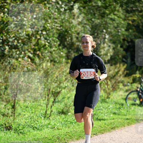 27.09.2026 - 35. Volkslauf durch das schöne Alstertal Dr. Thomas Lammeyer http://msf.ph/oto/10579473 27.09.2026 12:09:12 Laufen 2085 meine-sportfotos.de
