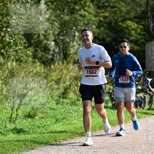 27.09.2026 - 35. Volkslauf durch das schöne Alstertal Dr. Thomas Lammeyer http://msf.ph/oto/10579478 27.09.2026 12:09:14 Laufen 1562, 1623 meine-sportfotos.de