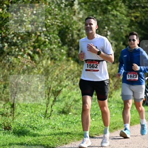 27.09.2026 - 35. Volkslauf durch das schöne Alstertal Dr. Thomas Lammeyer http://msf.ph/oto/10579484 27.09.2026 12:09:15 Laufen 1562, 1623 meine-sportfotos.de