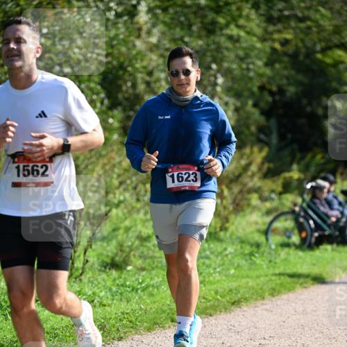 27.09.2026 - 35. Volkslauf durch das schöne Alstertal Dr. Thomas Lammeyer http://msf.ph/oto/10579486 27.09.2026 12:09:16 Laufen 1562, 1623 meine-sportfotos.de