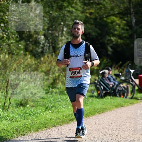 27.09.2026 - 35. Volkslauf durch das schöne Alstertal Dr. Thomas Lammeyer http://msf.ph/oto/10579496 27.09.2026 12:09:19 Laufen 1604 meine-sportfotos.de