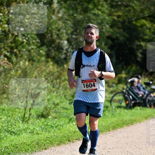 27.09.2026 - 35. Volkslauf durch das schöne Alstertal Dr. Thomas Lammeyer http://msf.ph/oto/10579498 27.09.2026 12:09:19 Laufen 1604 meine-sportfotos.de
